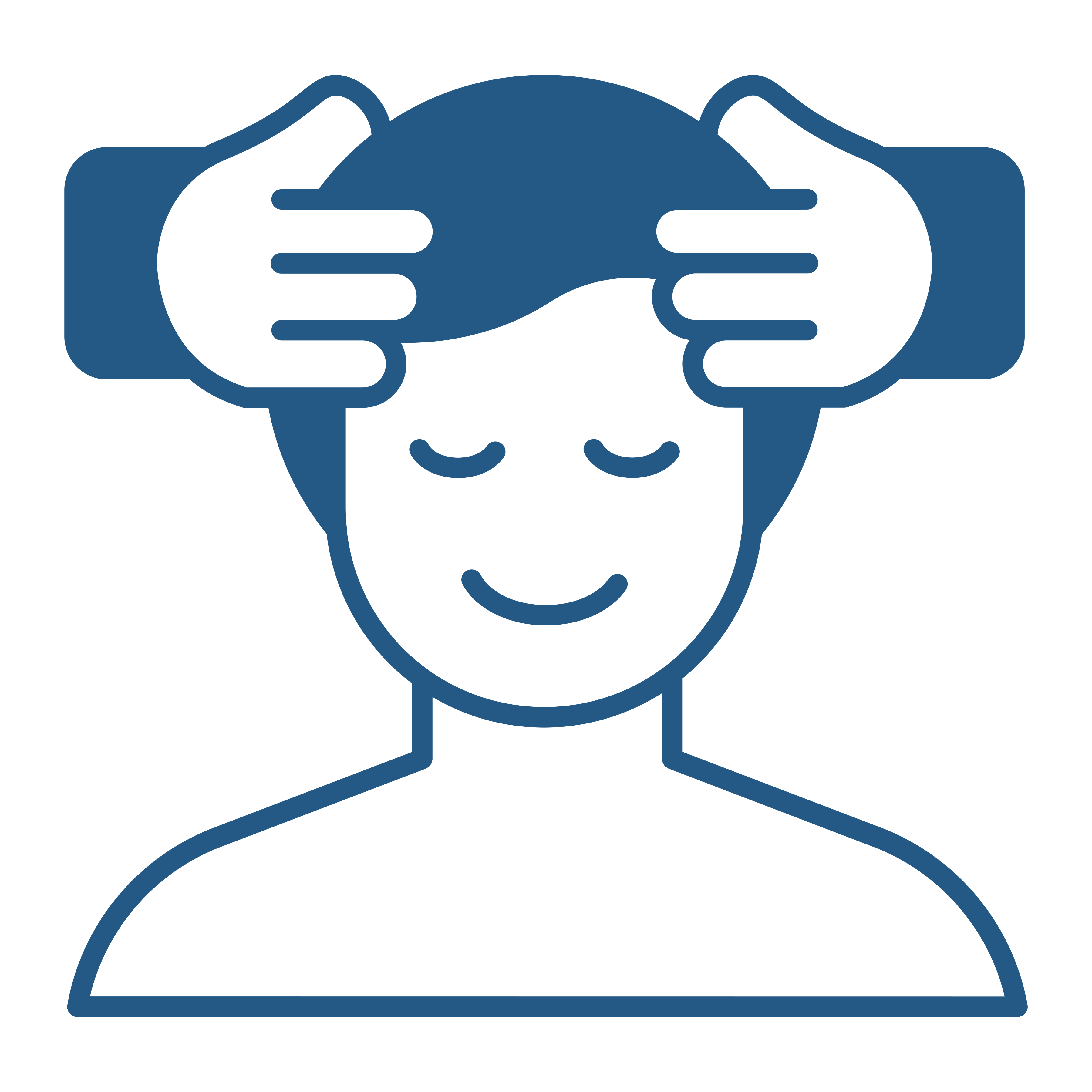 Icon Image