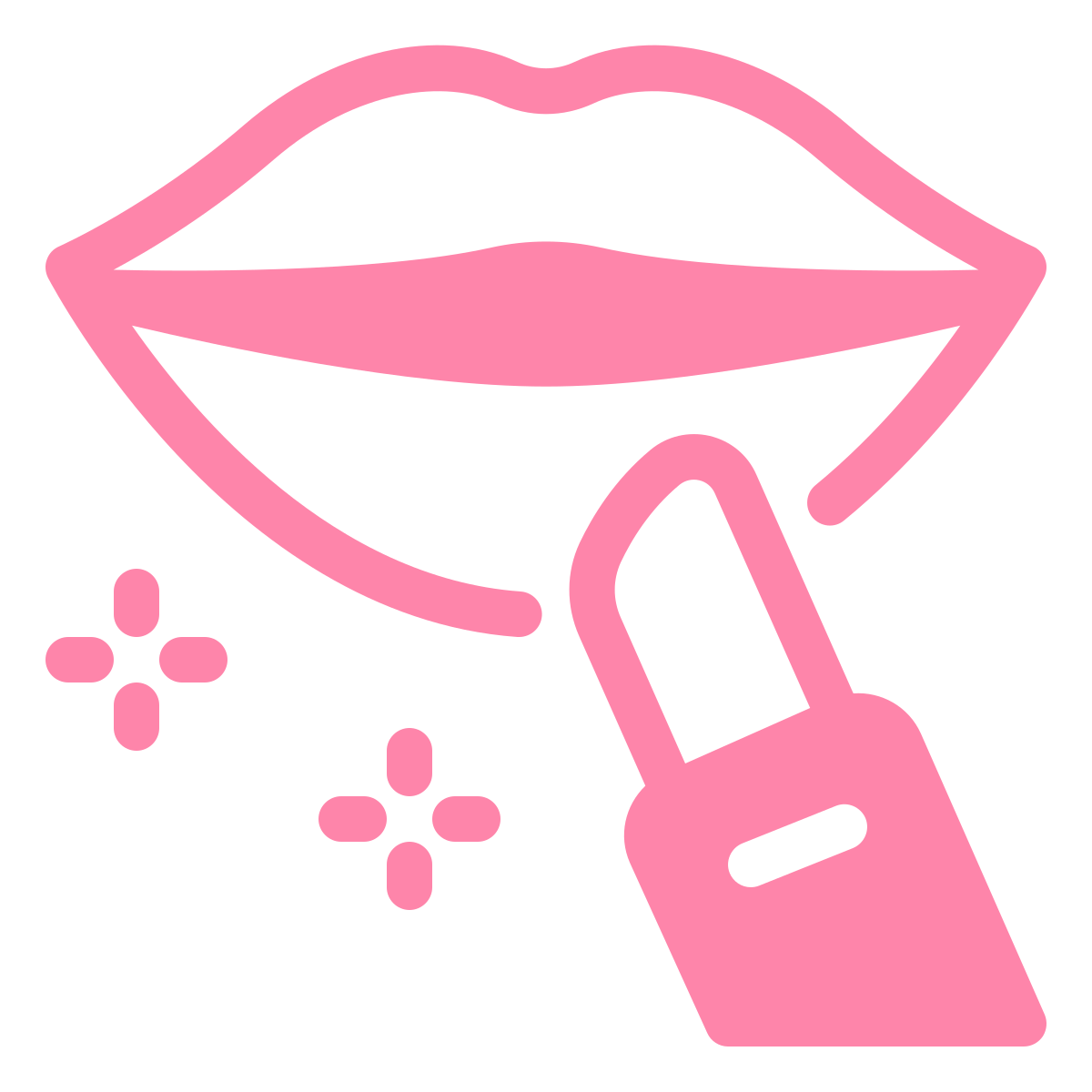 Icon Image
